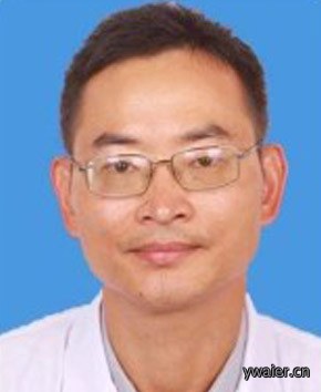 王时力